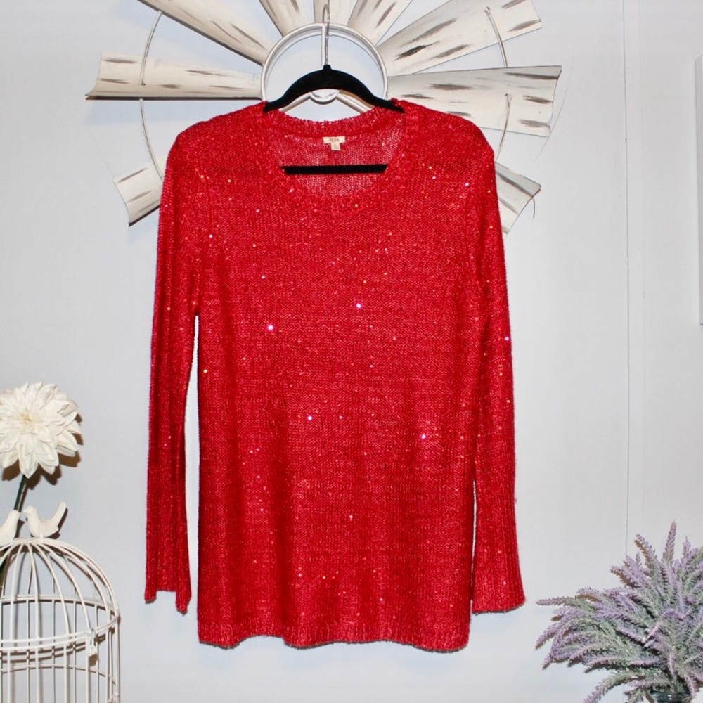 Beautiful NEW Reba Holiday Sweater Size L